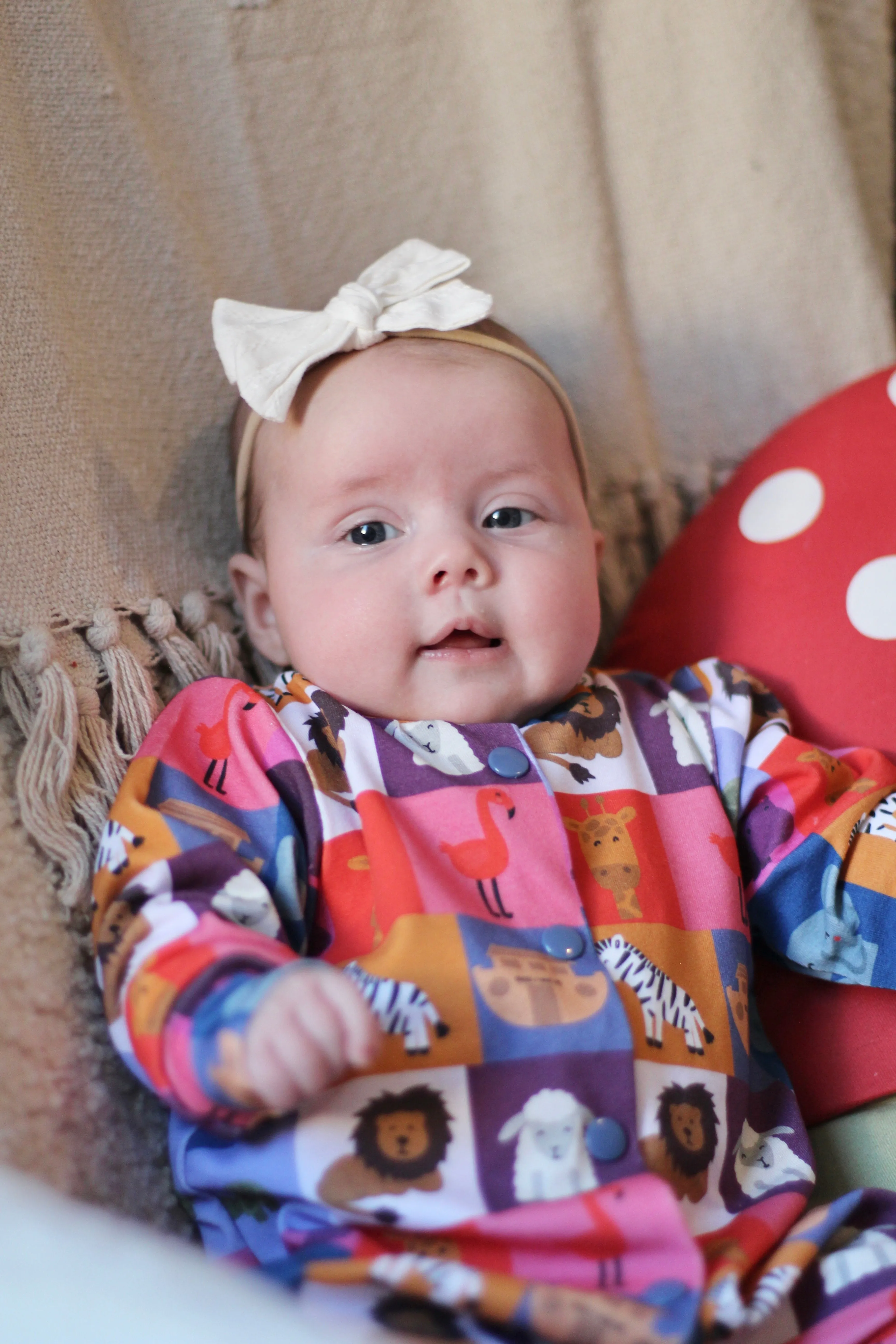 Noahs Ark Sleepsuit